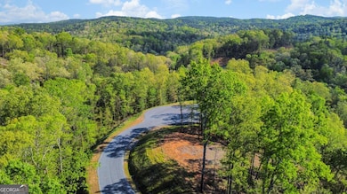 Lot 274 Canoe Way, Talking Rock, GA 30175 - photo 4