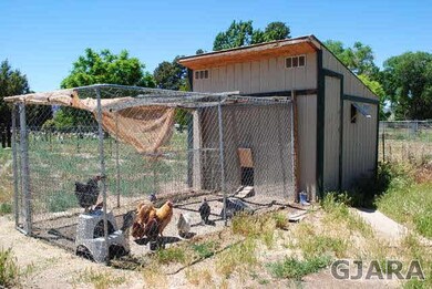 Yes, you can have chickens