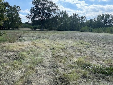 1524 Bland Chapel Rd, Ward, AR 72176 - photo 6