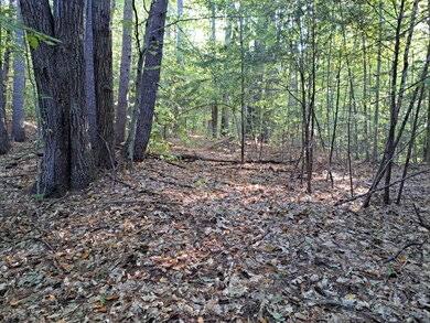 NH New Hampshire Route 175, Thornton, NH 03223 - photo 2