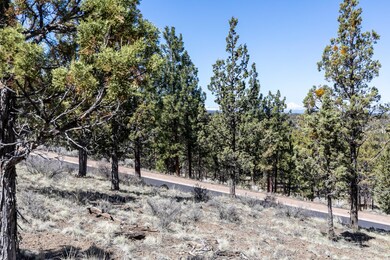 Lot 51 North Rim