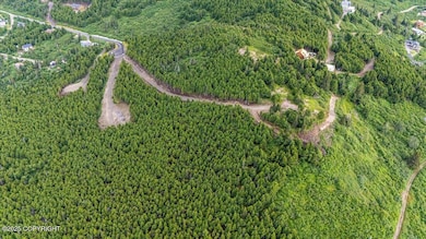 L3 Paine Cir, Anchorage, AK 99516 - photo 4