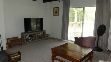 3 Fox Meadow Ln unit 3C, Dover, VT 05356 - photo 6