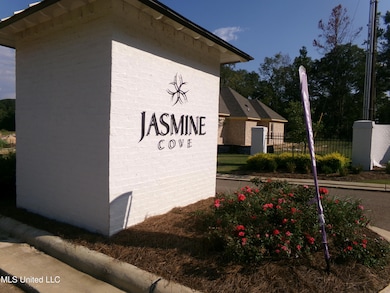 100 Jasmine Ct, Brandon, MS 39047 - photo 2