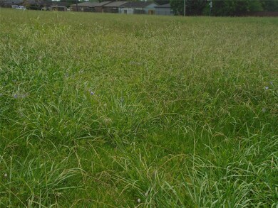 1821 Louise St, Rosenberg, TX 77471 - photo 7