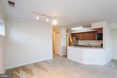 8101 Greenspring Way unit A, Owings Mills, MD 21117 - photo 7