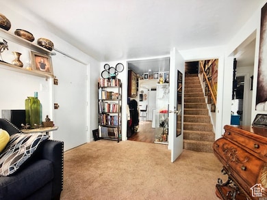 3628S House new carpet