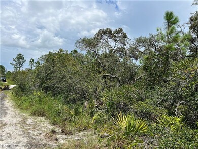 429 Blue Heaven Dr, Lake Placid, FL 33852 - photo 4