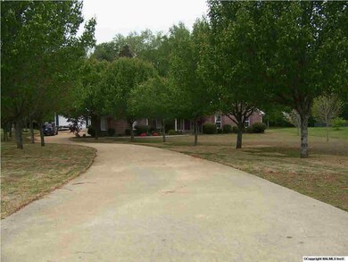Beautiful Driveway