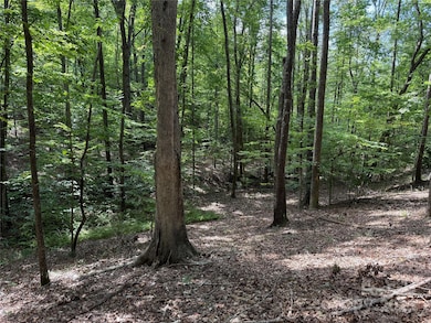 0 Mountain Brook Trail unit 298, Nebo, NC 28761 - photo 4