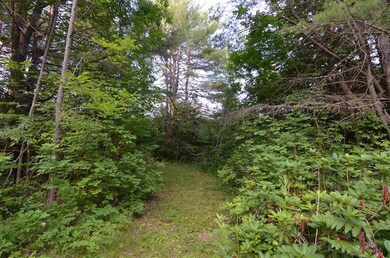 129 Newbury Rd, Bradford, NH 03221 - photo 3