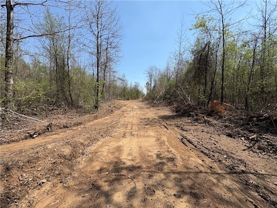 Tract 7 Nwf 517, Other Ar, AR 71935 - photo 3