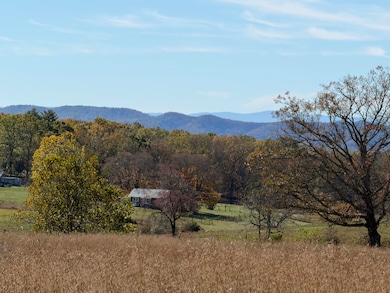 4242 Muddy Creek Mountain Rd, Alderson, WV 24910 - photo 5