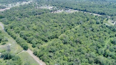 TBD County Road 244, Brazoria, TX 77422 - photo 6