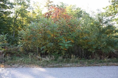 0 Ambrose unit 19 4892658, Wolfeboro, NH 03894 - photo 7