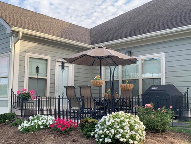 Back Patio - Summer