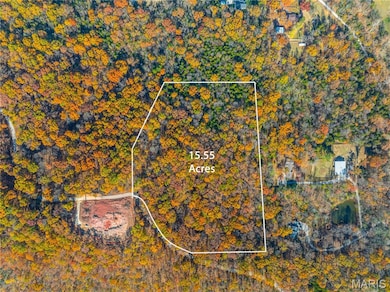 19005 Old Wild Turkey Ln, Wildwood, MO 63069 - photo 4