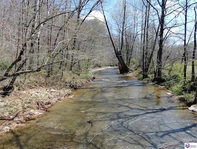 0 Jay Wheeler Rd unit HK25001489, Columbia, KY 42715 - photo 3