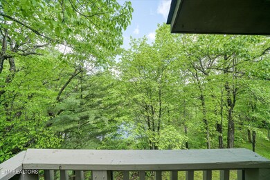 11-281 Moytoy Rd #204_070_TNPC