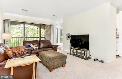 Chestnut Grove Condominiums unit 243, Reston, VA 20190 - photo 3