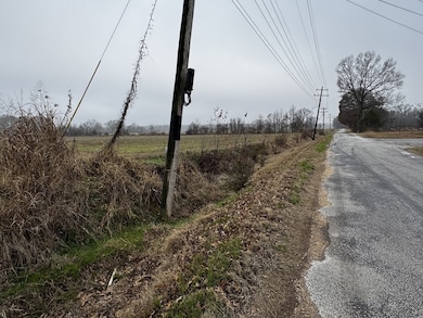 0 Lightfoot Luckett Rd, Ripley, TN 38063 - photo 2