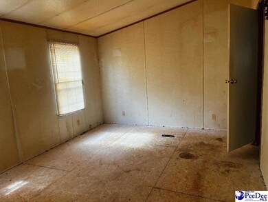 433 E 7 Mile Rd, Pamplico, SC 29583 - photo 6