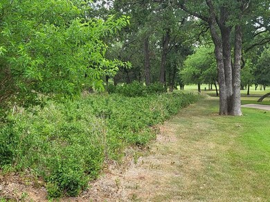 27129 Whispering Meadow Dr, Whitney, TX 76692 - photo 7