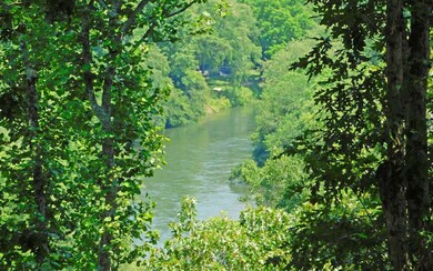 670 Toccoa Preserve Ln, Blue Ridge, GA 30513 - photo 2