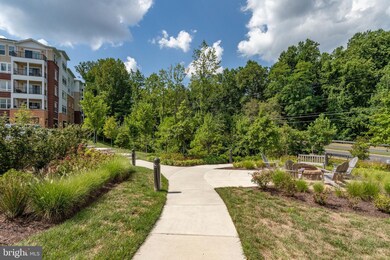 Enclave unit 201, Fairfax, VA 22031 - photo 5