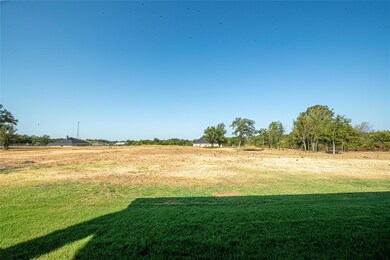 100 Oaks Springs Ln, Weatherford, TX 76087 - photo 5