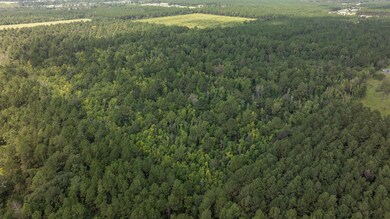 0 Tbd Little Happy Ln unit Ln 57-112, Deridder, LA 70634 - photo 6