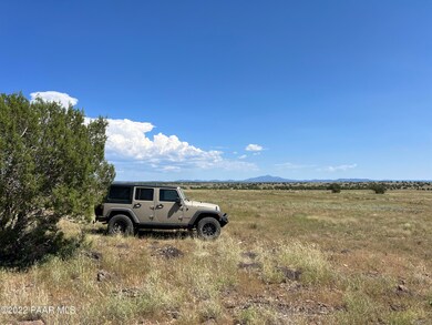S2 90 Lowe Ranch Rd, Ash Fork, AZ 86320 - photo 3