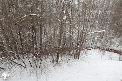 2640 Forest Park Dr unit 111, Anchorage, AK 99517 - photo 3