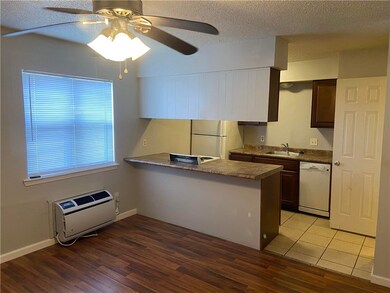 203 S Baggett St unit 3, Prairie Grove, AR 72753 - photo 3