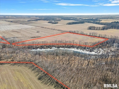 13505 W Long Point Rd, Niantic Township, IL 62551 - photo 6