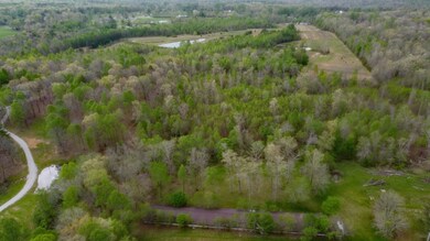 0 Sr 108 unit RTC2527869, Gruetli Laager, TN 37339 - photo 6