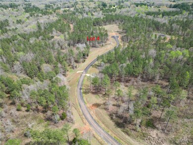 Lot 4 Pine Cir, Coker, AL 35452 - photo 5