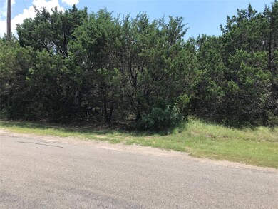 27001 Stonewood Dr, Whitney, TX 76692 - photo 2