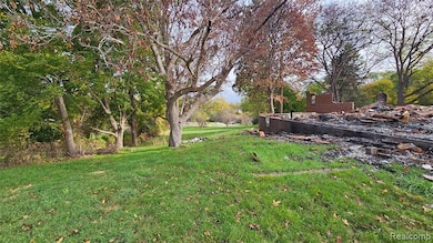 View of grassy yard with view of wooded area