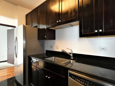 Millennium Centre unit 34ES, Chicago, IL 60654 - photo 7