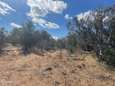Lot 189b Dragonfly Rd, Ash Fork, AZ 86320 - photo 3