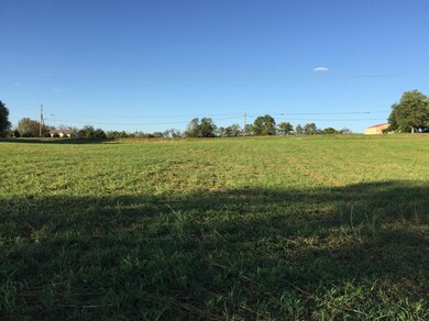 2350 Union Mill Rd, Nicholasville, KY 40356 - photo 3