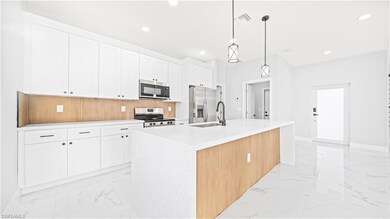 915 Mayfield Ave, Lehigh Acres, FL 33974 - photo 6