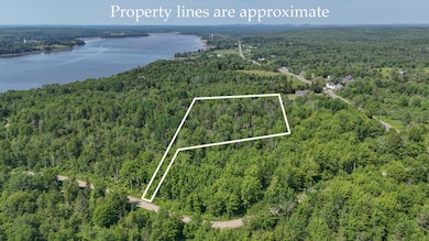 Property lines 1