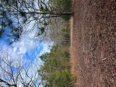 Floyd Rd- Pic 3