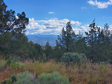 0 SE Dead End Street Tl5674 St unit 220149584, Prineville, OR 97754 - photo 5