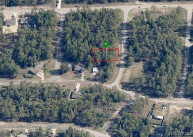 10936 N Ella Terrace, Citrus Springs, FL 34433 - photo 5