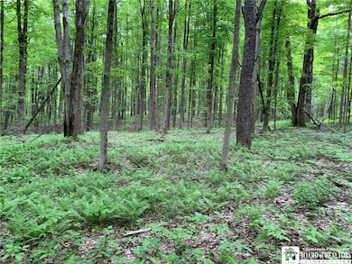 905 Waterman Rd, Kennedy, NY 14747 - photo 2