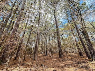 00 County Road 2237, Bagwell, TX 75426 - photo 7