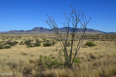 TBD E Adams Ranch Rd, Dragoon, AZ 85609 - photo 5